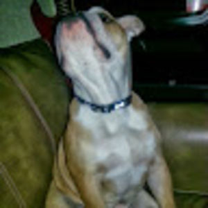 Meet your Posher, Alana